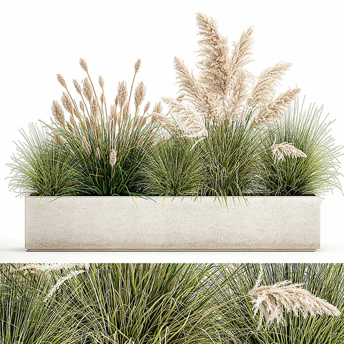 现代花圃植物盆栽