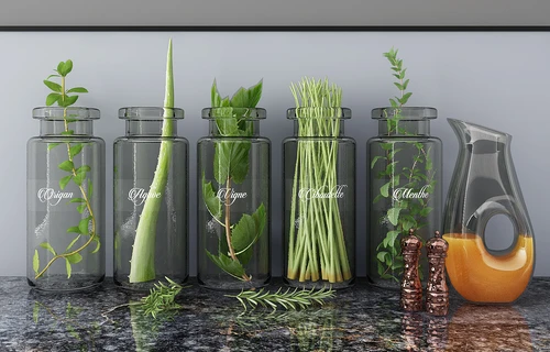 摆件组合现代玻璃绿植植物芦荟桌面绿植玻璃花瓶