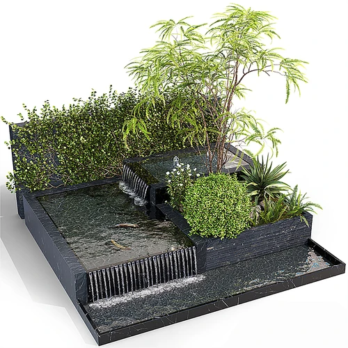 户外水池植物景观