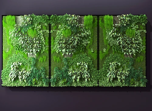 植物墙