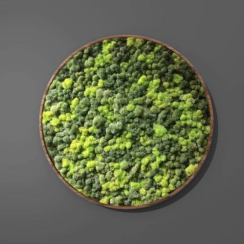 绿植墙植物墙