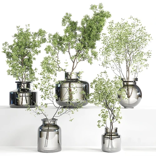现代水生植物