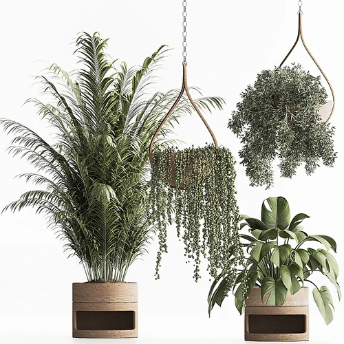 现代绿植盆栽