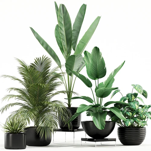 现代绿植盆栽