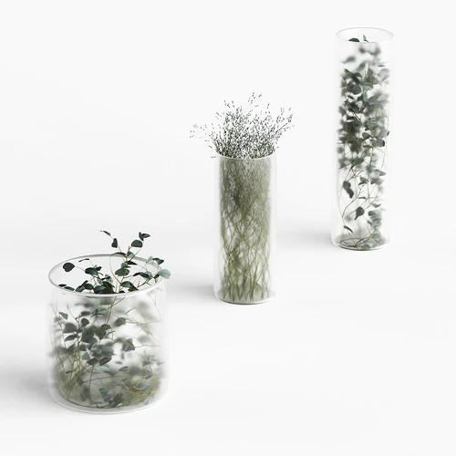 Растения 植物瓶子