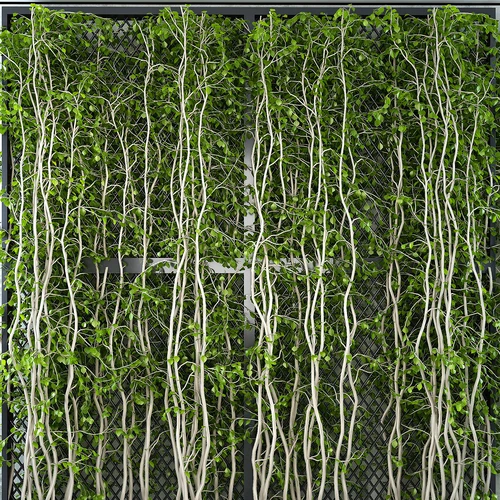 铁丝网藤蔓植物墙