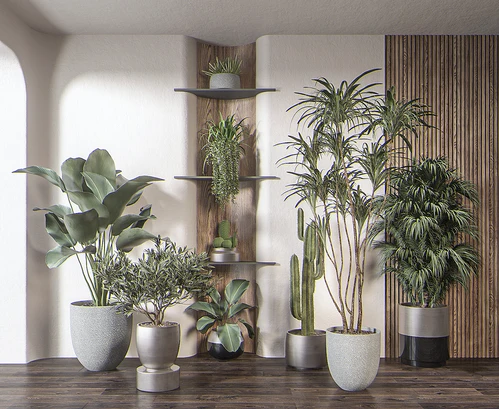 现代绿植盆栽