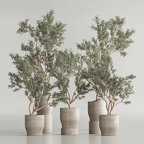 绿植盆栽