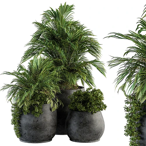 室内植物套装