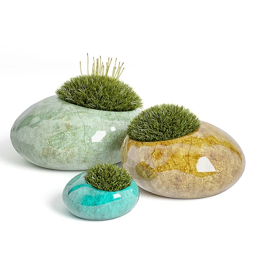 现代盆栽,草,苔藓