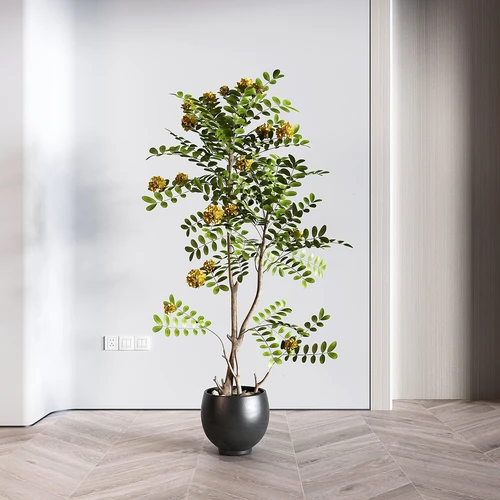 现代绿植盆栽