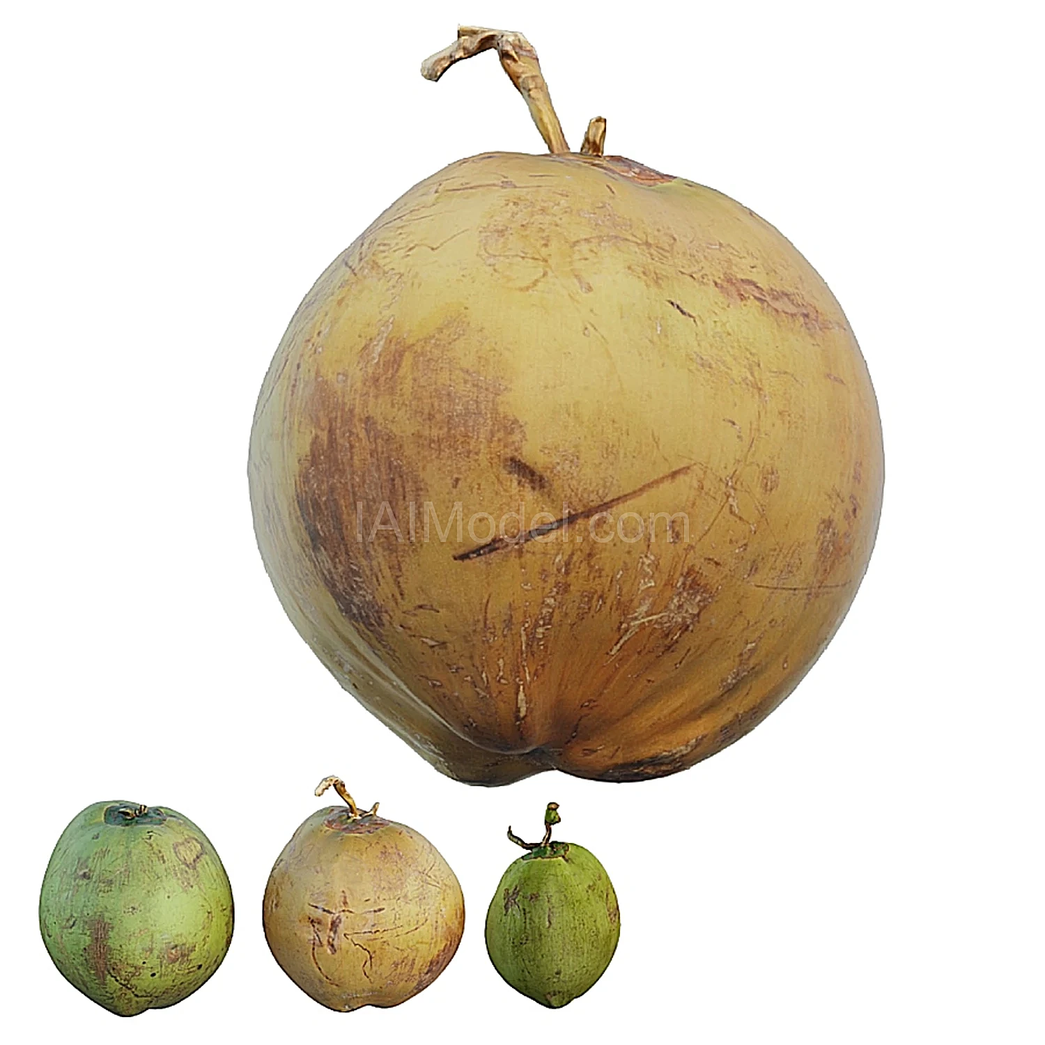img1