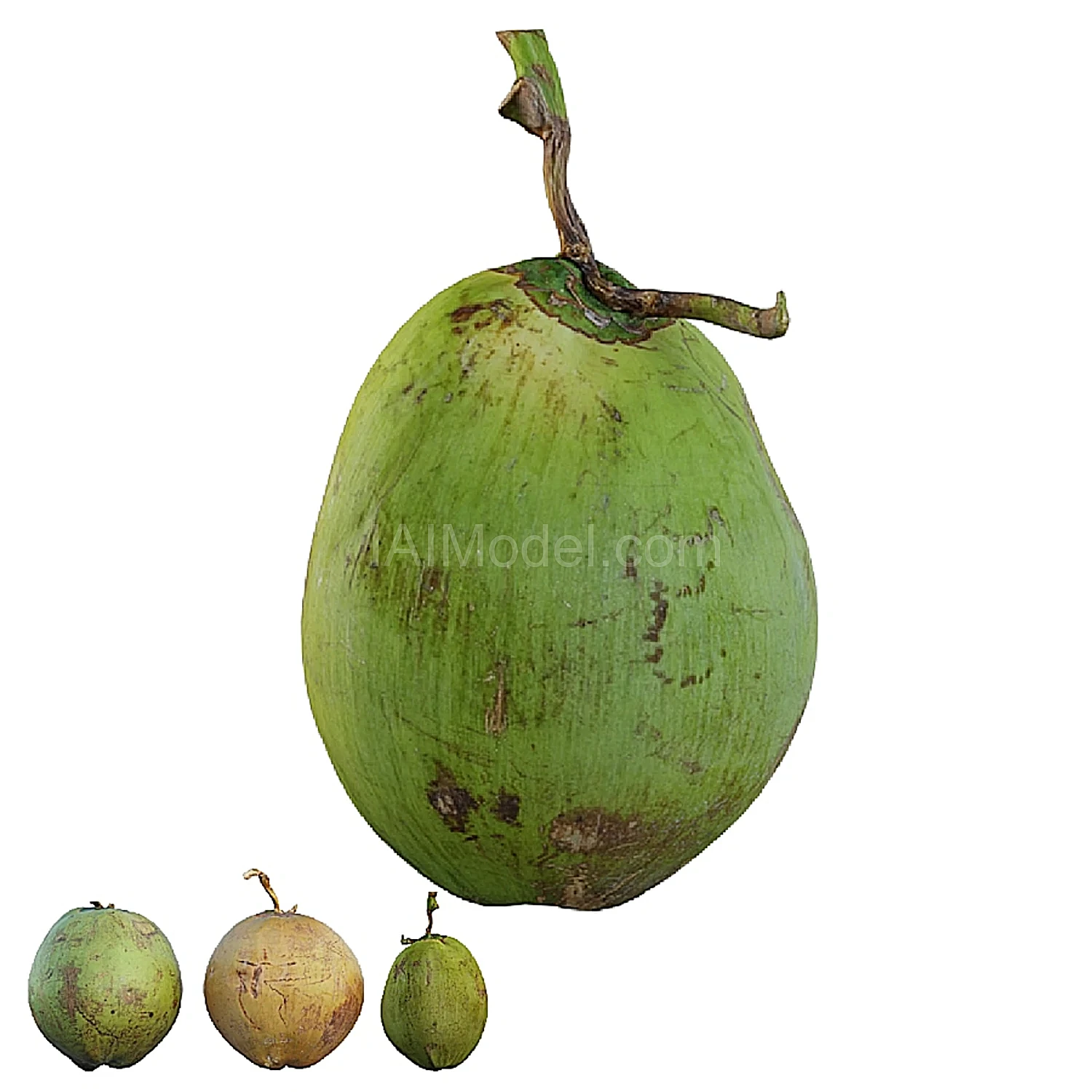 img2
