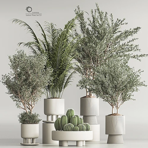 室内植物组