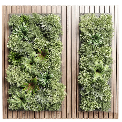 现代植物墙