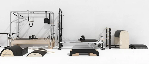 现代瑜伽球健身器材3d模型