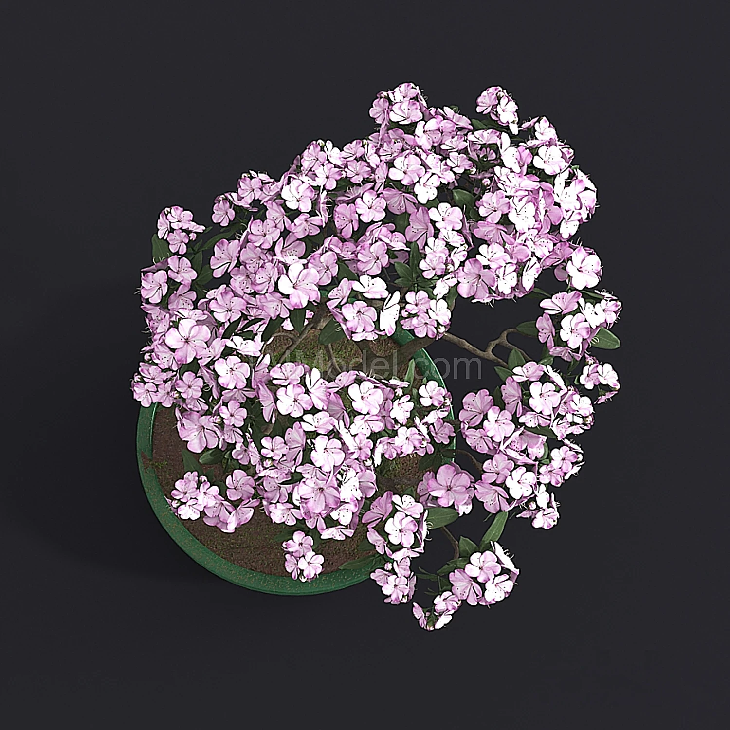 img2