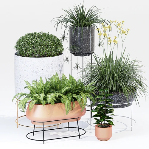 现代绿植盆栽