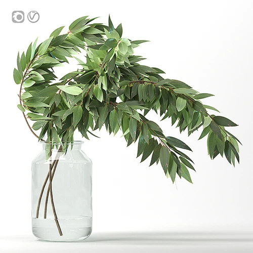 植物摆件