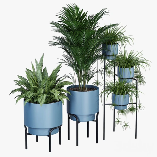 盆栽植物