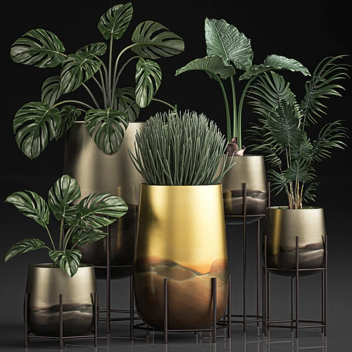 植物收藏