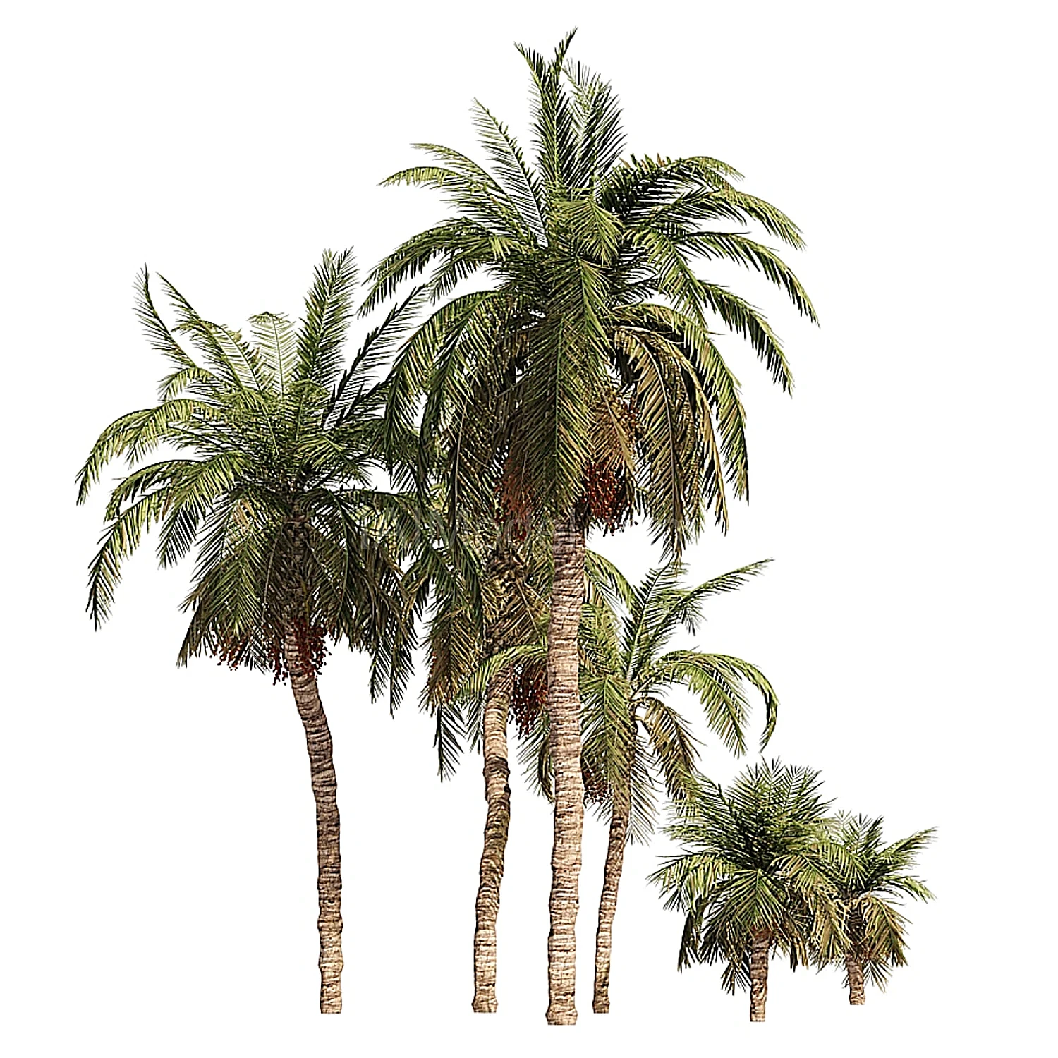img2