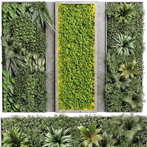 现代苔藓植物墙