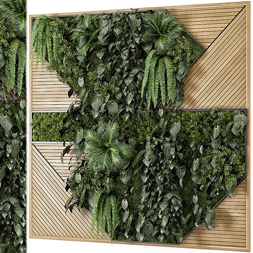 现代植物墙
