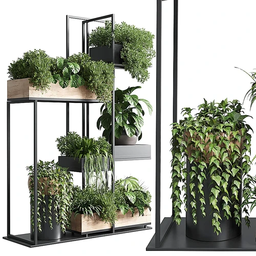 现代绿植盆栽植物架
