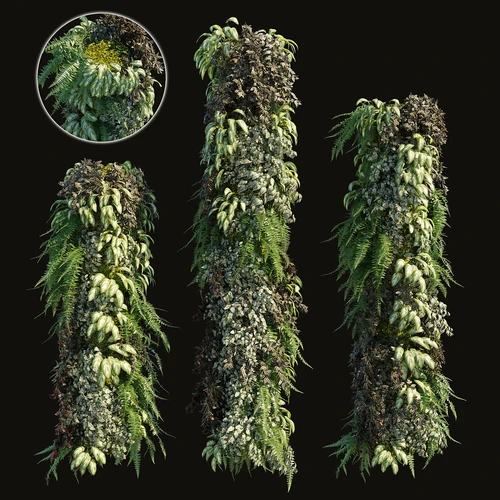 现代绿植植物墙