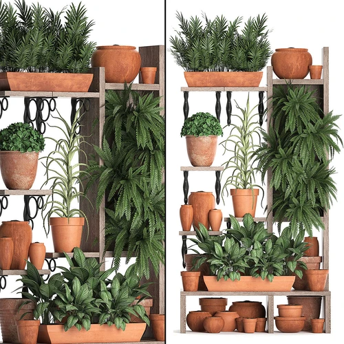 植物盆栽组合