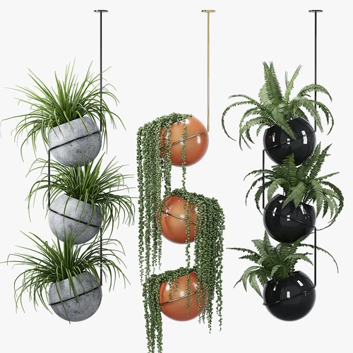 植物