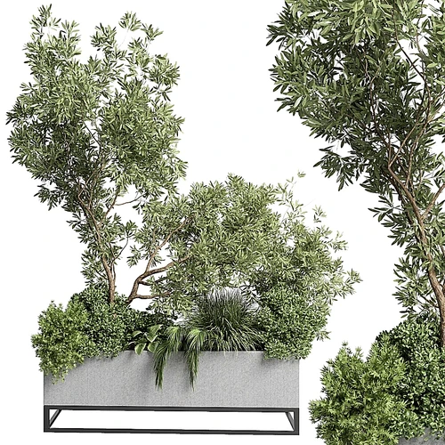现代绿植花坛小品