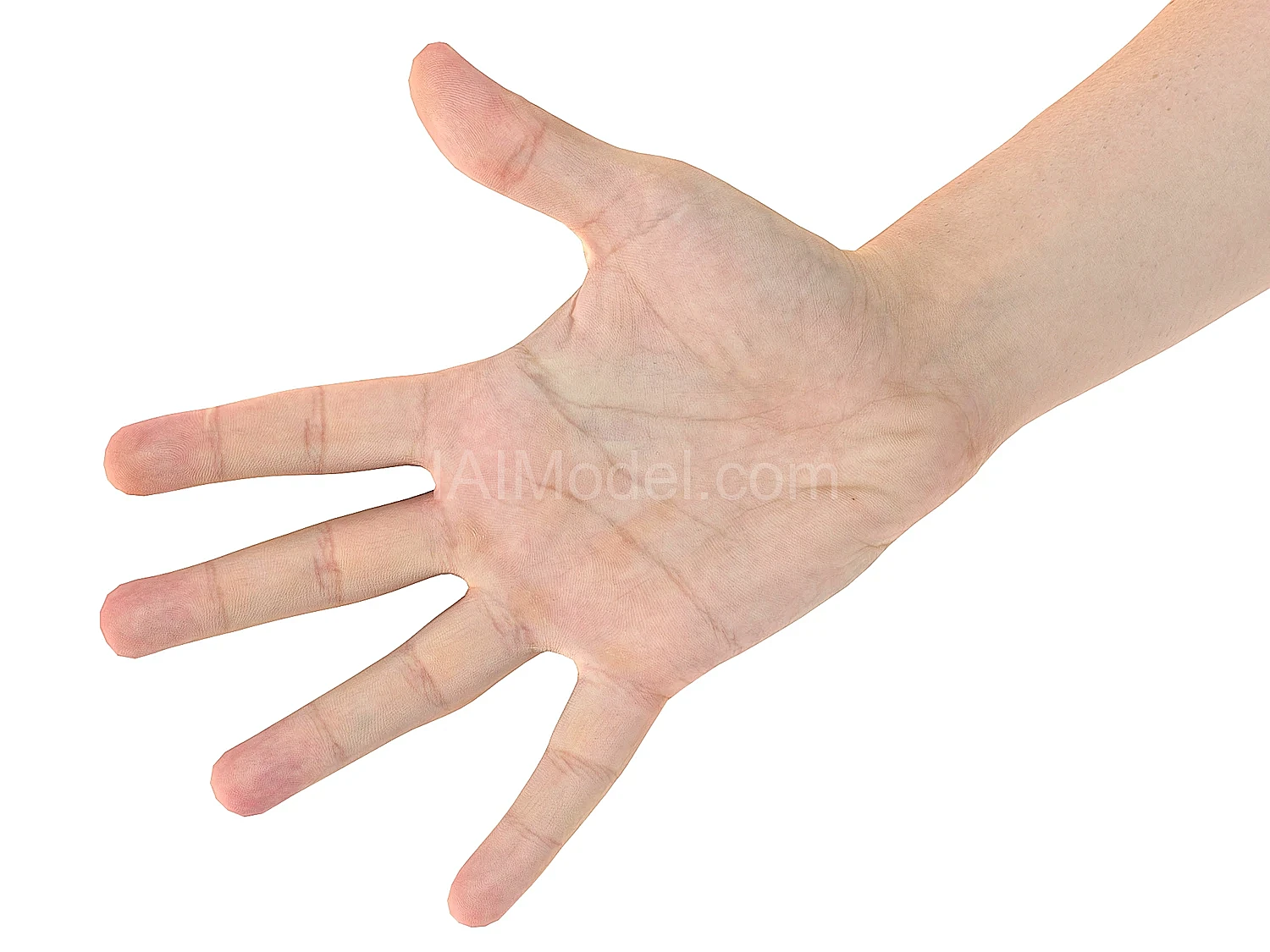 img2