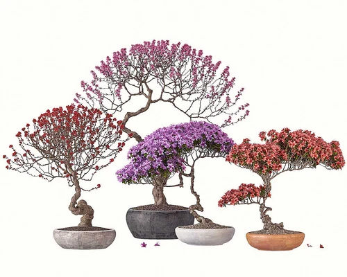 现代花草盆栽组合