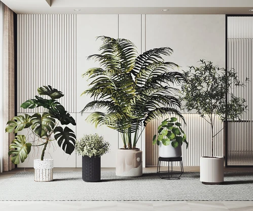 现代绿植盆栽