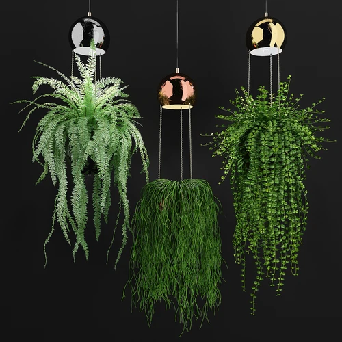 室内植物吊篮