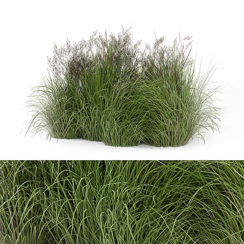 现代户外野草堆