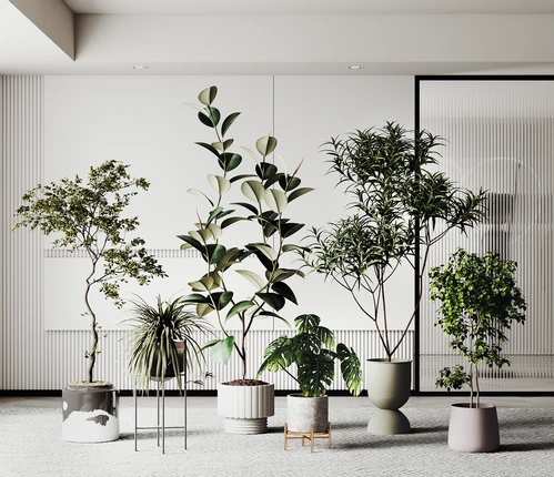 现代绿植盆栽