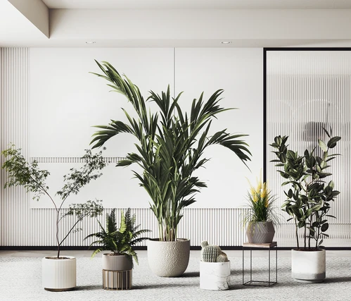 现代绿植盆栽