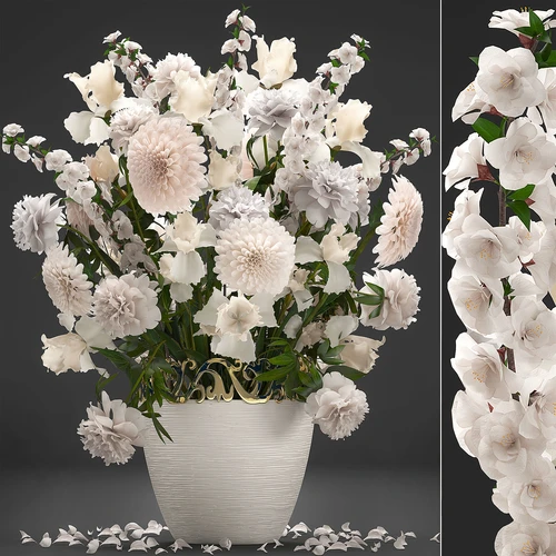 现代小雏菊鲜花盆栽
