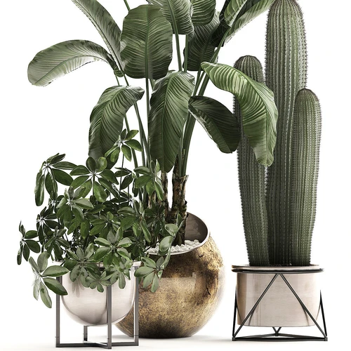 北欧绿植仙人掌盆栽