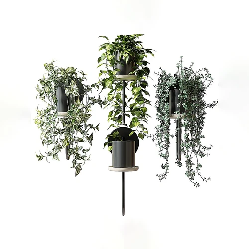 现代壁灯式绿植组合