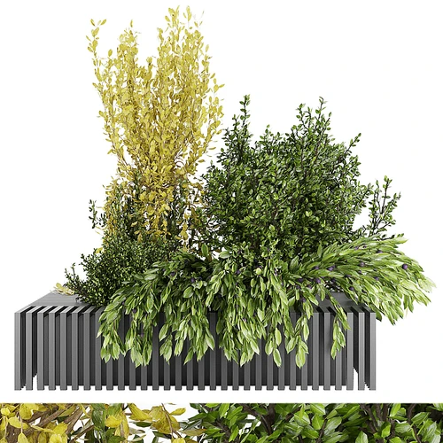 现代绿植堆景观