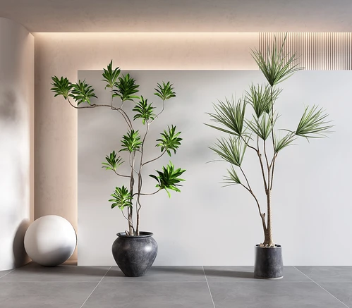 现代绿植盆栽