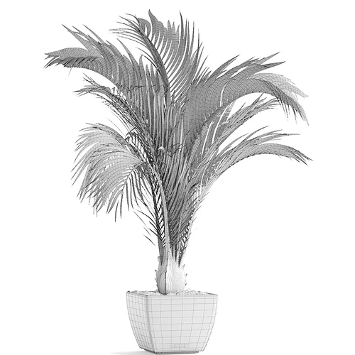 现代绿植盆栽