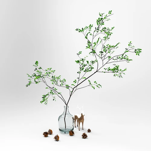 现代水生植物