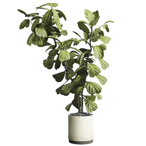 现代绿植盆栽