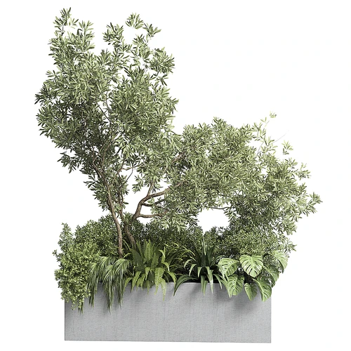 现代绿植盆栽