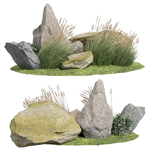 现代景观石头植物